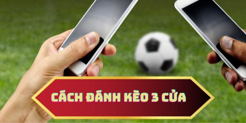 Các thắc mắc thường gặp về điều khoản sử dụng của tinsoikeo.biz